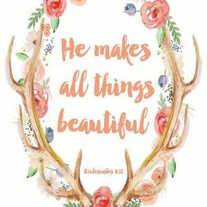 Meet your Posher, Laurie martin